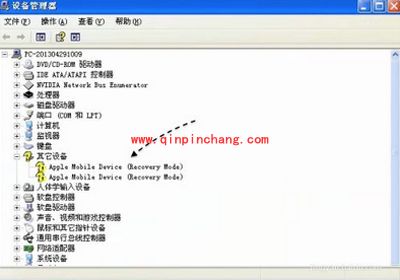 苹果手机连接电脑没反应该怎么办?