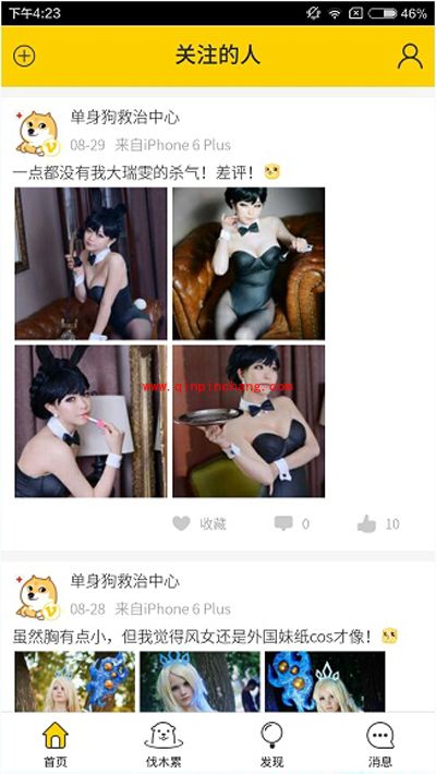 伐木累app怎么用?伐木累app使用方法学起来!