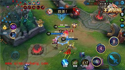 王者荣耀法师与射手的重要性分析