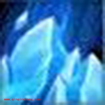 诛仙手游宠物技能禁锢详解