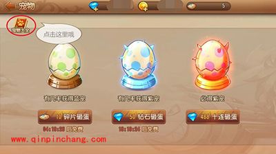 弹弹岛2宠物有哪些资质？宠物资质解读