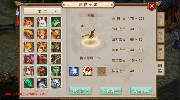 问道蝙蝠怎么样?问道手游宠物宝宝蝙蝠属性详解