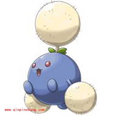 口袋妖怪复刻新手攻略