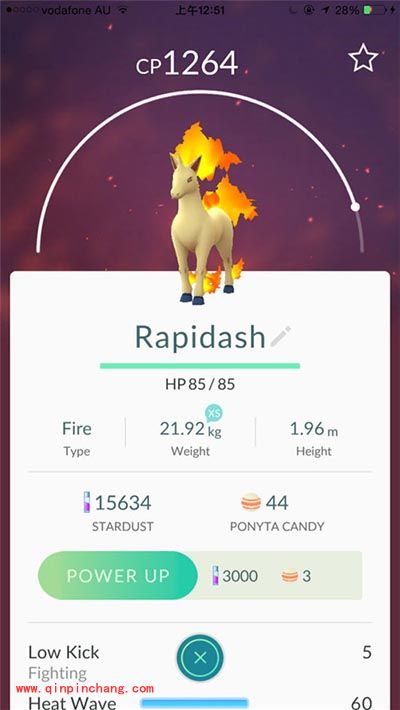 Pokemon GO 烈焰马什么技能最好?最强烈焰马属性解析