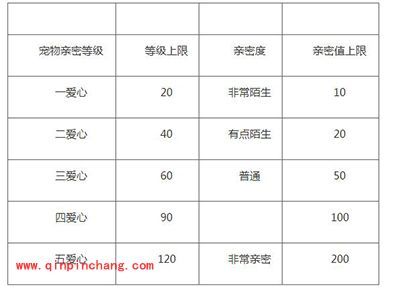 天天打波利宠物亲密度如何增加？宠物亲密度详解