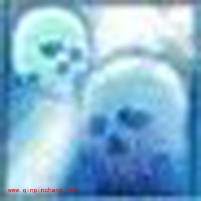 诛仙手游宠物技能苦痛分析