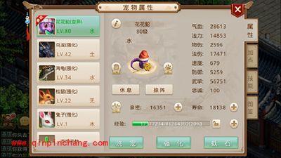 问道手游游戏特色讲解