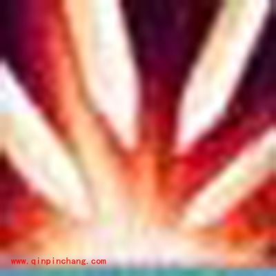 诛仙手游宠物攻击类型技能锋利解读