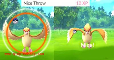 Pokemon GO精灵捕捉攻略