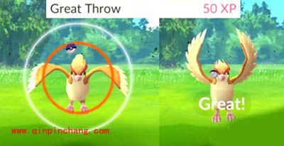 Pokemon GO精灵捕捉攻略