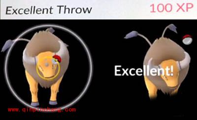 Pokemon GO精灵捕捉攻略