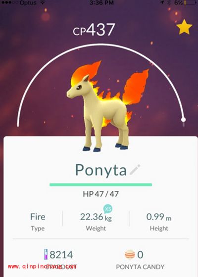 Pokemon GO 小火马怎么获得？口袋妖怪GO小火马培养攻略