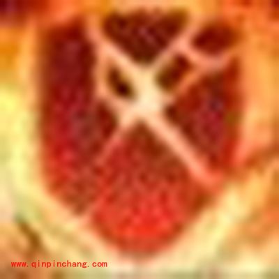 诛仙手游宠物技能妄言全攻略