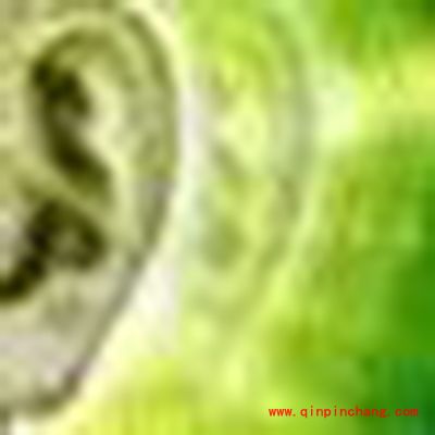 诛仙手游宠物技能刺耳解读