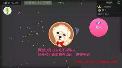 球球大作战如何利用孢子诱惑敌人?