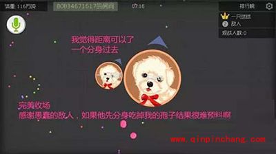 球球大作战如何利用孢子诱惑敌人?