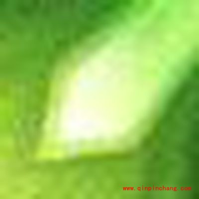 诛仙手游宠物技能芒刺介绍