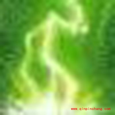 诛仙手游宠物防御型技能神聚解读