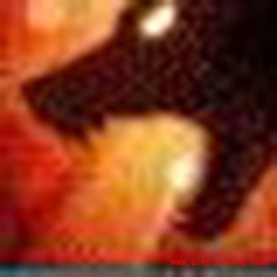 诛仙手游宠物技能喝言技能效果怎么样？喝言技能解读