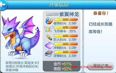 天天酷跑紫翼神龙宠物搭配攻略