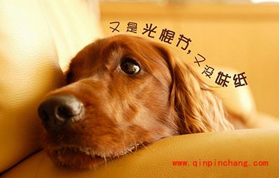 炉石传说脱光行动 炉石传说中隐藏的追妹小技巧