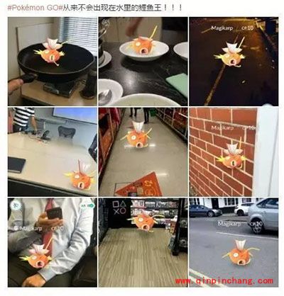 Pokemon GO锁区怎么办?中国玩家轻松跨越锁区照样玩