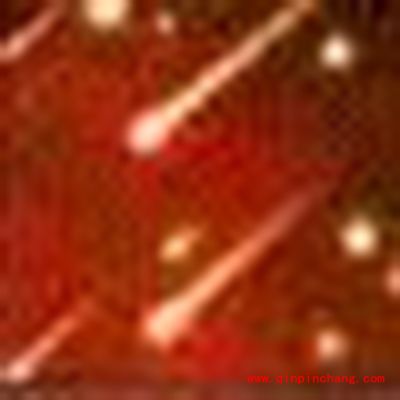 诛仙手游宠物技能流星解析