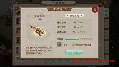 问道手游宠物怎么强化？宠物强化流程介绍