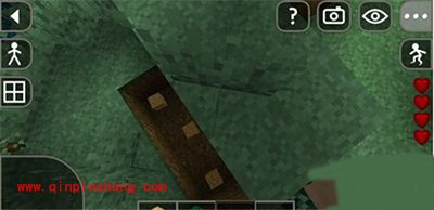 生存战争怎么防止夜间狼群？防狼姿势大全