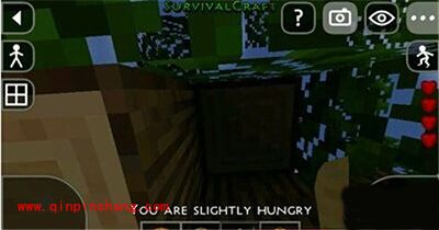 生存战争怎么防止夜间狼群？防狼姿势大全