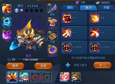 梦幻西游无双版宠物如何获得？宠物获得途径大全