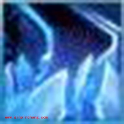 诛仙手游宠物羁绊技能攻略