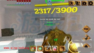 被尘封的故事最萌宠物变异狗解析