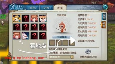 诛仙手游宠物如何养成？宠物养成全攻略