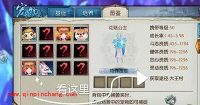 诛仙手游宠物如何养成？宠物养成全攻略