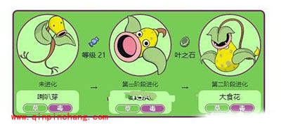 Pokemon GO口呆花怎么样?口呆花属性图鉴欣赏