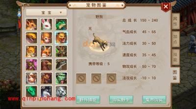 问道手游宠物野狗解析