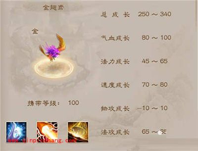 问道手游金翅鸢如何加点?金翅鸢加点攻略