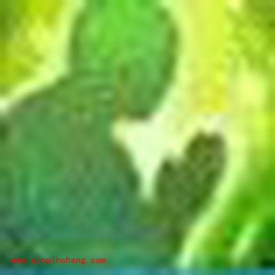 诛仙手游宠物技能忏悔有什么用?忏悔技能效果解读