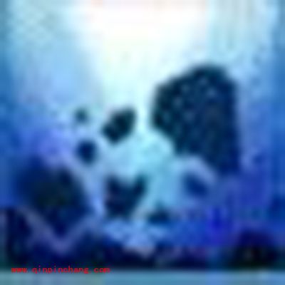 诛仙手游宠物技能地祝解读