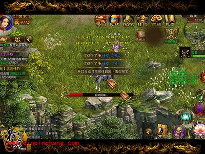 征途手游藏宝图怎么玩?新手藏宝图玩法解读