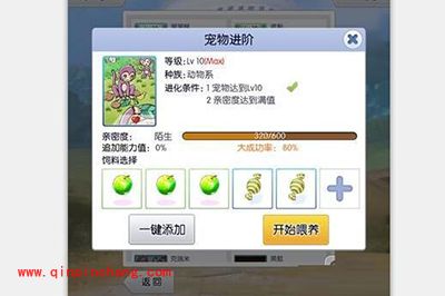 天天打波利新手怎么玩？新手玩法攻略