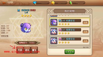 弹弹岛2宠物如何升级?宠物升级攻略