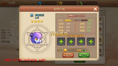 弹弹岛2宠物如何升级?宠物升级攻略