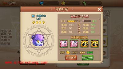 弹弹岛2宠物如何升级?宠物升级攻略