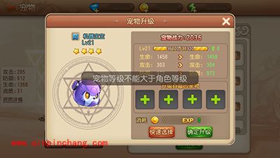 弹弹岛2宠物如何升级?宠物升级攻略