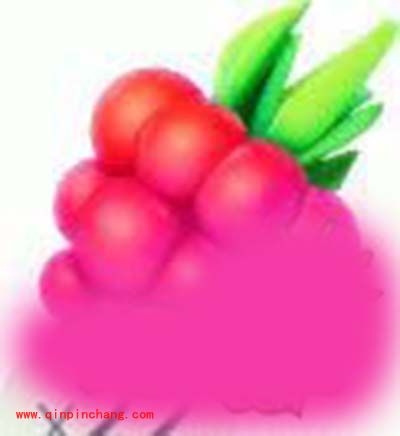 Pokemon GO 道具要怎么获得？道具作用解答