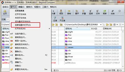 Beyond Compare在新视图中比较子文件教程
