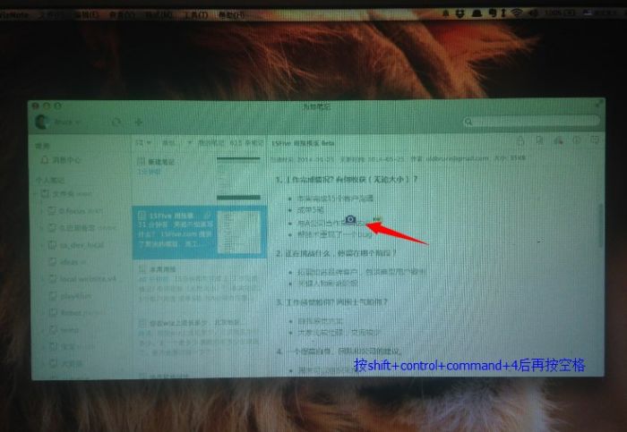 为知笔记电脑版怎么截图?为知笔记电脑版截图快捷键大全