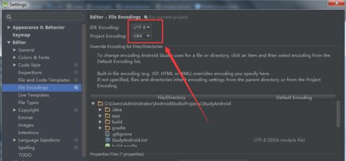 Android Studio软件怎么更改工作空间编码?Android Studio工作空间编码修改步骤